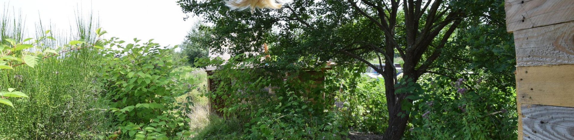 RaBauKi startet mit der Planung des Sommerprojekts - Anmeldung ab jetzt möglich