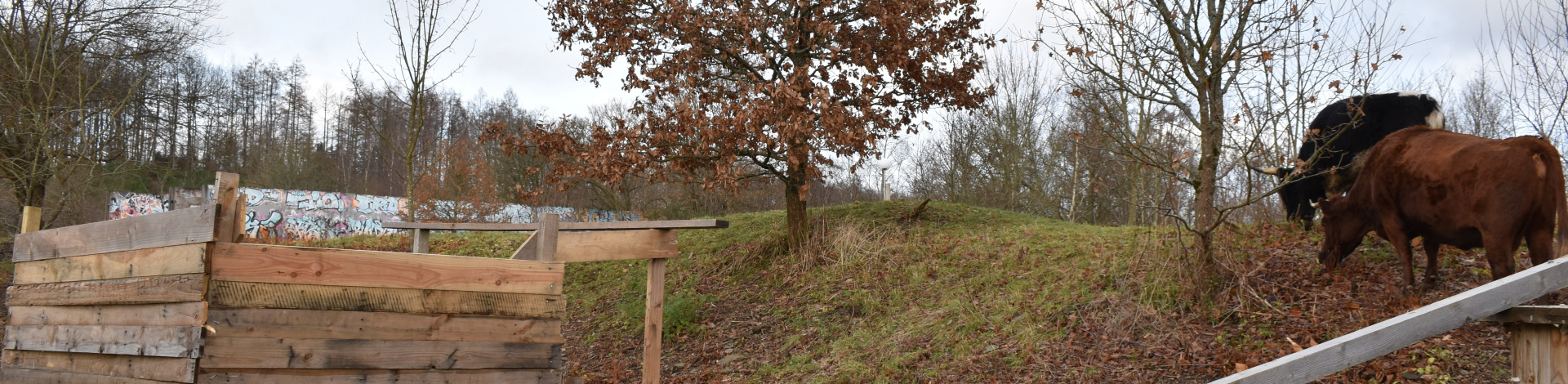 Wochenendöffnungszeit am 4.+5.01.2025